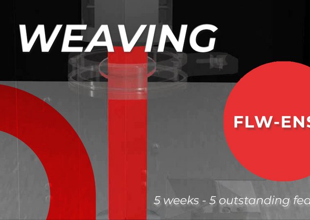 FLW-ENSIS: No. 1 of 5 functions – WEAVING