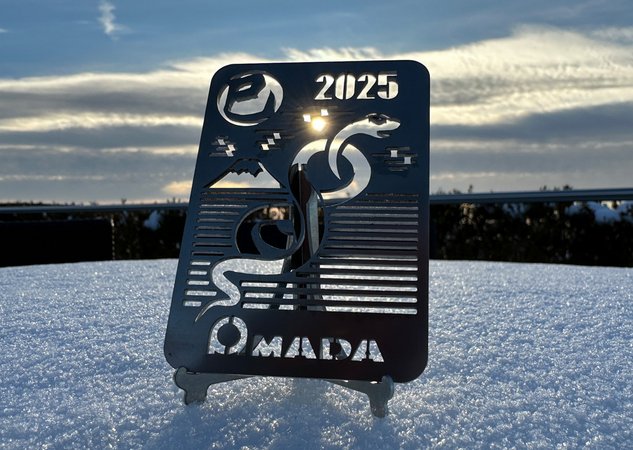 2025 - The year of the snake