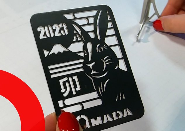 2023 is the year of the rabbit!