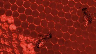 Produttività, non potenza: l’approccio e la soluzione AMADA per vincere le sfide dei mercati