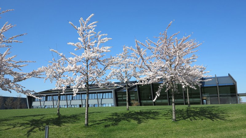 Industry and environment require innovative solutions that meet the ecological and economic challenges into account today