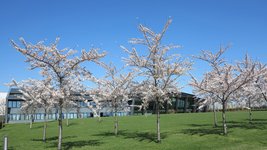 Industry and environment require innovative solutions that meet the ecological and economic challenges into account today